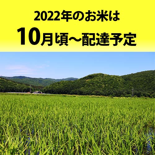 komehaitatu